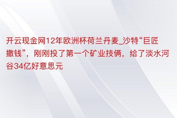 开云现金网12年欧洲杯荷兰丹麦_沙特“巨匠撒钱”，刚刚投了第一个矿业技俩，给了淡水河谷34亿好意思元