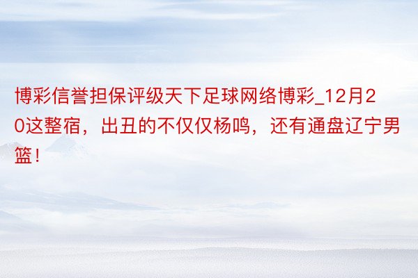 博彩信誉担保评级天下足球网络博彩_12月20这整宿，出丑的不仅仅杨鸣，还有通盘辽宁男篮！